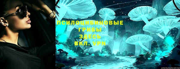 винт Алексин