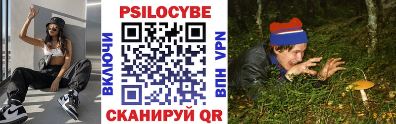 сколько стоит  Лермонтов  Галлюциногенные грибы мицелий 